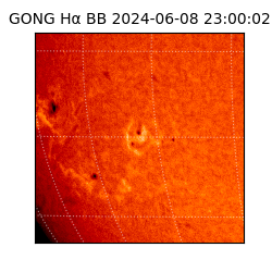 gong - 2024-06-08T23:00:02