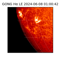 gong - 2024-06-08T01:00:42