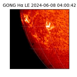 gong - 2024-06-08T04:00:42