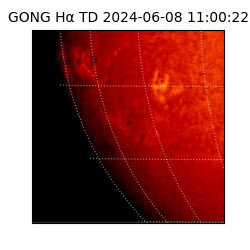 gong - 2024-06-08T11:00:22