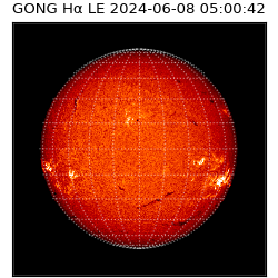 gong - 2024-06-08T05:00:42