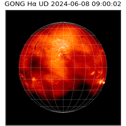 gong - 2024-06-08T09:00:02