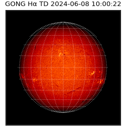 gong - 2024-06-08T10:00:22