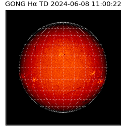 gong - 2024-06-08T11:00:22