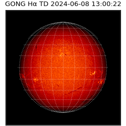 gong - 2024-06-08T13:00:22