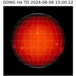 gong - 2024-06-08T15:00:22