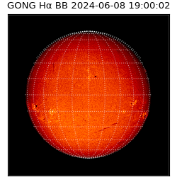gong - 2024-06-08T19:00:02