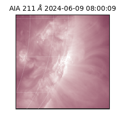 saia - 2024-06-09T08:00:09.630000