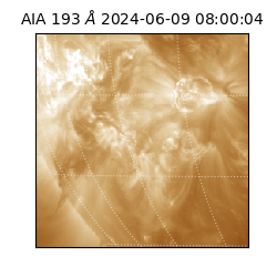 saia - 2024-06-09T08:00:04.843000