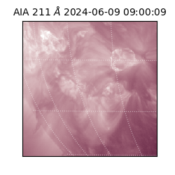 saia - 2024-06-09T09:00:09.629000