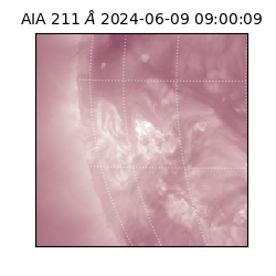 saia - 2024-06-09T09:00:09.629000