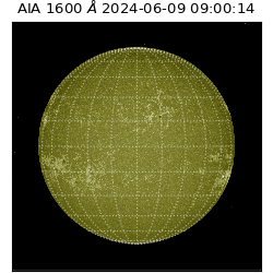 saia - 2024-06-09T09:00:14.125000
