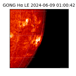 gong - 2024-06-09T01:00:42