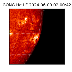 gong - 2024-06-09T02:00:42