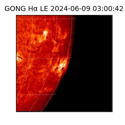gong - 2024-06-09T03:00:42