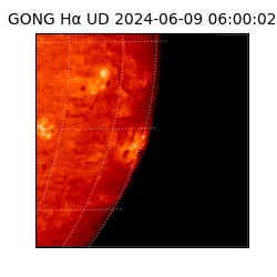 gong - 2024-06-09T06:00:02