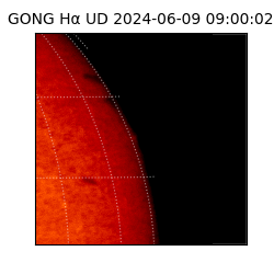 gong - 2024-06-09T09:00:02