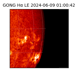 gong - 2024-06-09T01:00:42