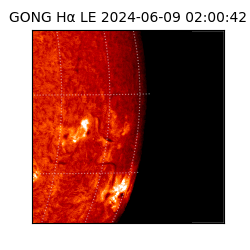 gong - 2024-06-09T02:00:42