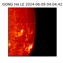 gong - 2024-06-09T04:04:42