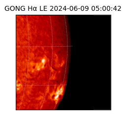 gong - 2024-06-09T05:00:42
