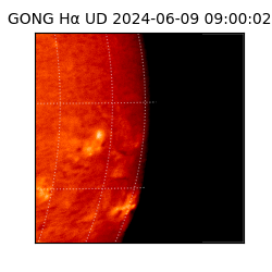 gong - 2024-06-09T09:00:02