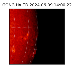 gong - 2024-06-09T14:00:22