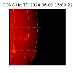 gong - 2024-06-09T15:00:22
