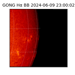 gong - 2024-06-09T23:00:02