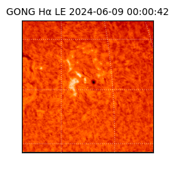 gong - 2024-06-09T00:00:42