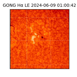 gong - 2024-06-09T01:00:42