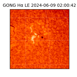 gong - 2024-06-09T02:00:42