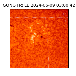 gong - 2024-06-09T03:00:42