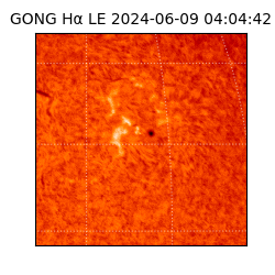 gong - 2024-06-09T04:04:42