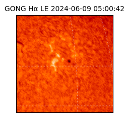 gong - 2024-06-09T05:00:42
