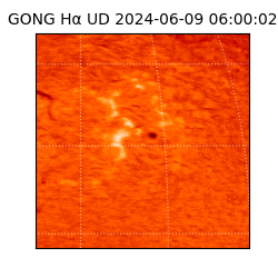 gong - 2024-06-09T06:00:02