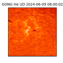 gong - 2024-06-09T08:00:02