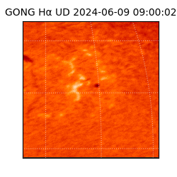gong - 2024-06-09T09:00:02