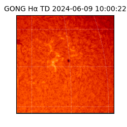 gong - 2024-06-09T10:00:22