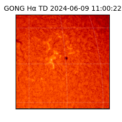gong - 2024-06-09T11:00:22