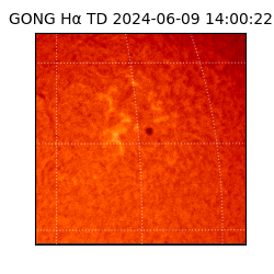 gong - 2024-06-09T14:00:22