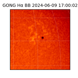 gong - 2024-06-09T17:00:02