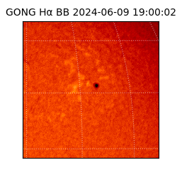 gong - 2024-06-09T19:00:02