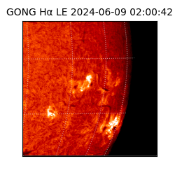 gong - 2024-06-09T02:00:42