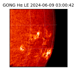 gong - 2024-06-09T03:00:42