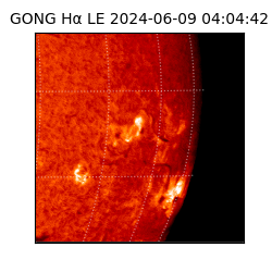 gong - 2024-06-09T04:04:42