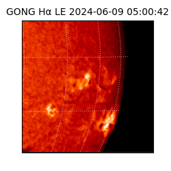 gong - 2024-06-09T05:00:42