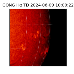 gong - 2024-06-09T10:00:22