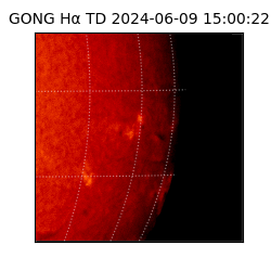 gong - 2024-06-09T15:00:22