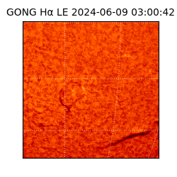 gong - 2024-06-09T03:00:42